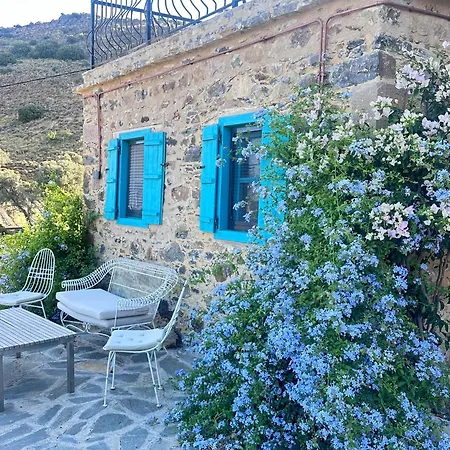 Fintoz Butika New Hotel *