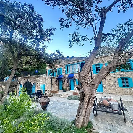 Fintoz Butika New Hotell *