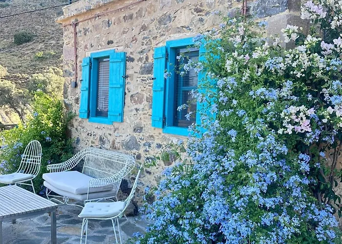 Fintoz Butika New Hotell *