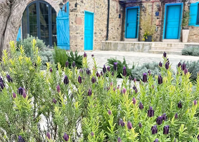 Fıntoz Butıka New * Karaburun (Izmir)