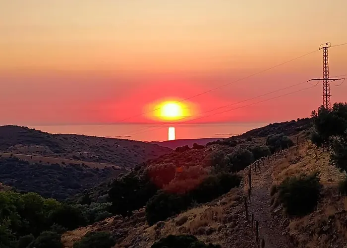 Fıntoz Butıka New Otel