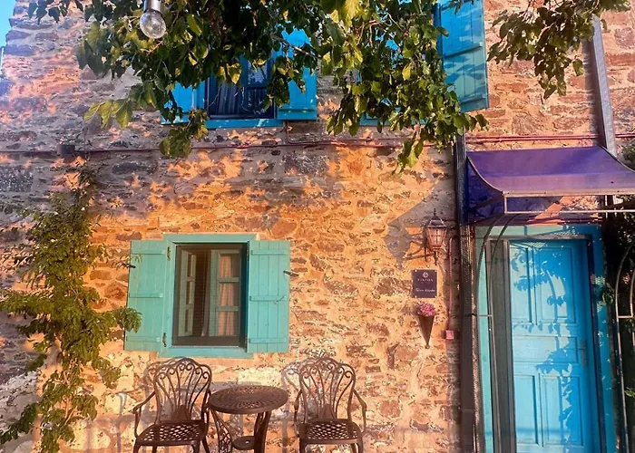 Fıntoz Butıka New *