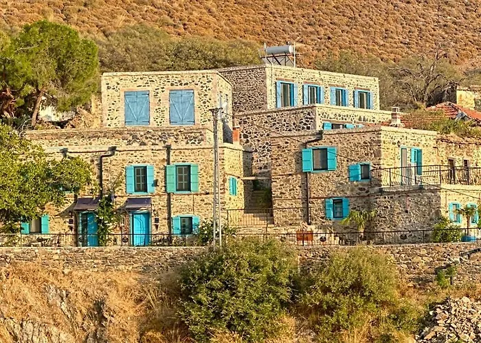 Fıntoz Butıka New *