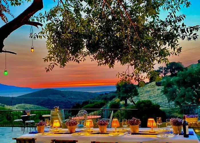 Fintoz Butika New Hotell *