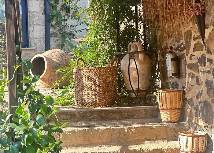 Fintoz Butika New * Karaburun (Izmir)