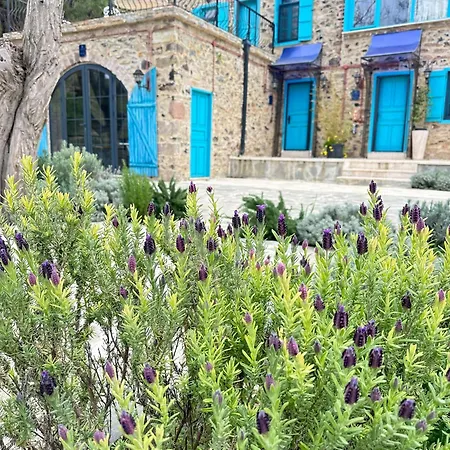 Fintoz Butika New * 卡拉布伦