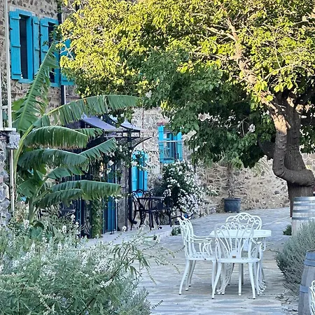 Fintoz Butika New * Karaburun (Izmir)