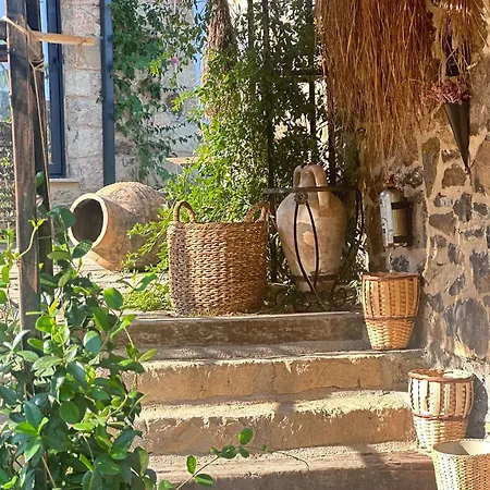 Fintoz Butika New * Karaburun (Izmir)